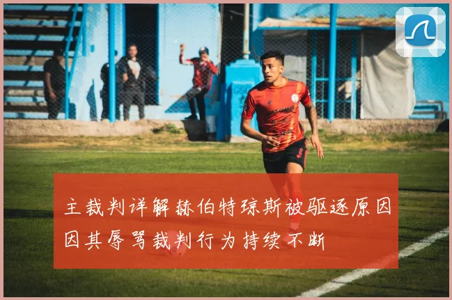 主裁判详解赫伯特琼斯被驱逐原因因其辱骂裁判行为持续不断