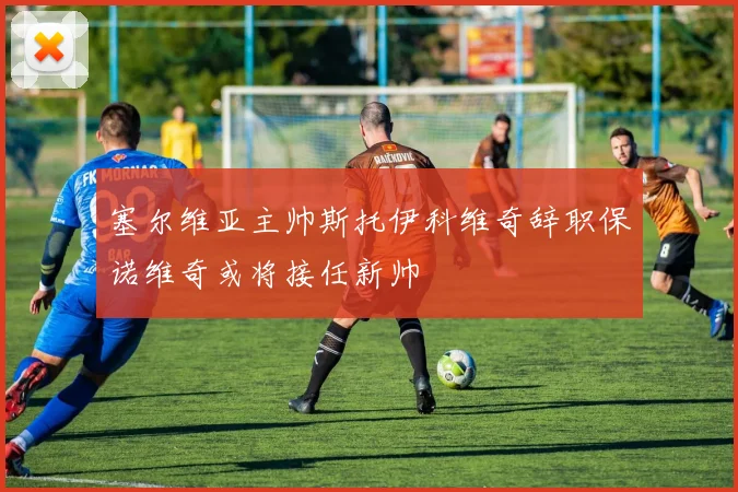塞尔维亚主帅斯托伊科维奇辞职保诺维奇或将接任新帅